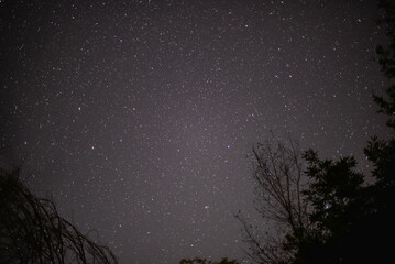 Identifying bright stars in the summer night sky. Astronomical observations from dark places