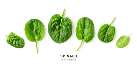 Fresh spinach leaves set top view isolated on white background.