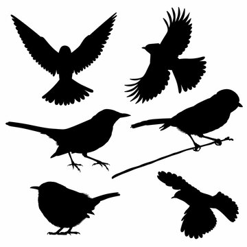 Set of small birds silhouettes