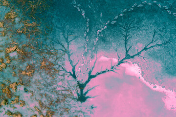 Abstract natural ice background. Ice texture of a frozen lake. Patterns on the surface of a frozen lake