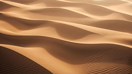 Fototapeta na wymiar Panoramic view of sand dunes in Abu Dhabi, United Arab Emirates