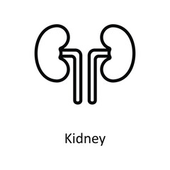 Kidney vector outline icon style illustration. EPS 10 File