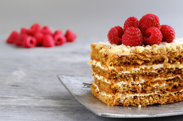 piece of cake on a plate for dessert and treat