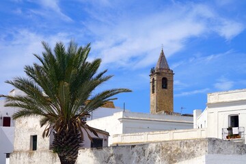 Obraz premium tower of the church Iglesia Divino Salvador looking over the roofs of the white Andalusian houses in Vejer de la Frontera, Costa de la Luz, Spain