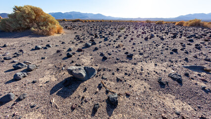 Black lava rocks in the dry hot Mojave Desert in California in a valley near Death Valley National Park