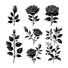 Rose Silhouette, Lily Silhouette, Sunflower Silhouette, Tulip Silhouette, Orchid Silhouette, Daisy Silhouette, Peony Silhouette, Daffodil Silhouette, Marigold Silhouette, Hydrangea Silhouette, Snapdra