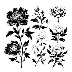 Rose Silhouette, Lily Silhouette, Sunflower Silhouette, Tulip Silhouette, Orchid Silhouette, Daisy Silhouette, Peony Silhouette, Daffodil Silhouette, Marigold Silhouette, Hydrangea Silhouette, Snapdra