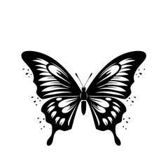 Butterfly svg, butterfly png, butterfly clipart, clipart, svg, vector, eps, png, jpg, butterfly, insect, nature, wing, fly, wings, animal, beauty, illustration, summer, design, macro, spring, moth