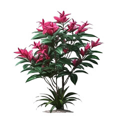 Tropical plant flower bush clip art