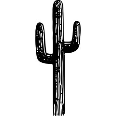 Cactus Illustration