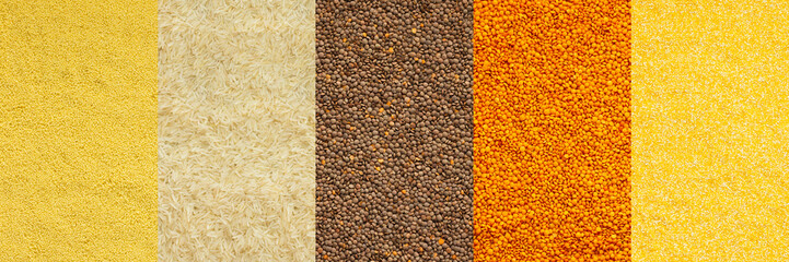 Various grain cereals banner, top view, corn and wheat grits, white rice, orange and brown lentils