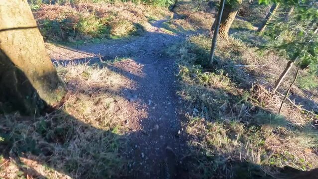 Downhill single track woodland mountain bike point of view 1