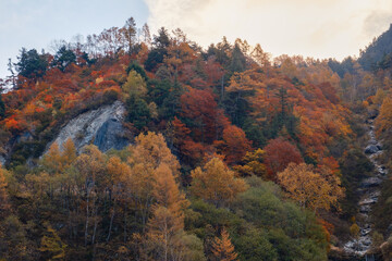 秋の峡谷