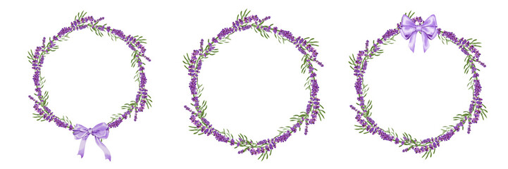 frame of lavender flowers Hand drawn illustration on a transparent background