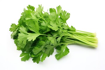 fresh parsley on a white background