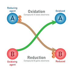 Oxidation and reduction reaction. Reducing agent and oxidizing agent. Redox reaction. Scientific resources for teachers and students.