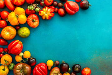 Multi-colored bright ripe tomatoes on an emerald green background, different types of tomatoes, summer harvest from the garden, top view