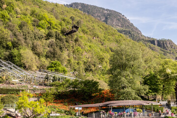 View of the Botanical Garden of Trauttmansdorff Castle, Merano, Trentino-Alto Adige, Italy, May 18,...