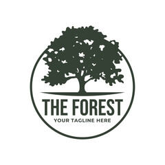 Obraz premium Tree logo design. Pine forest logo vector illustration
