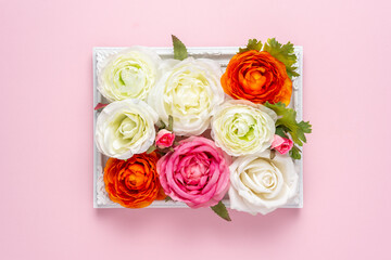 Creative layout of beautiful rose flowers in frame on pink background. Minimal holiday concept.