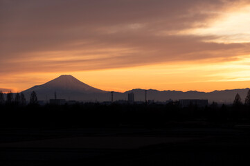 Obraz premium さいたま市の土手から望む夕日の染まる富士山