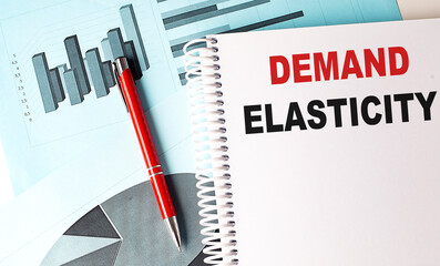 DEMAND ELASTICITY text on a notebook with pen on a chart background