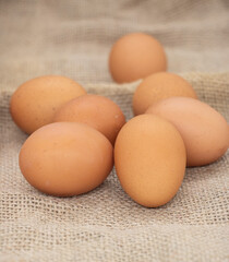 Eggs, Group of chicken eggs, Hen / chicken eggs.