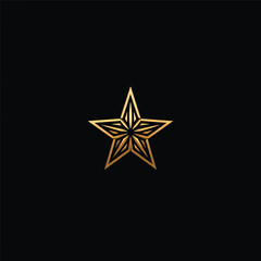 Fototapeta premium Star Logo Minimalist