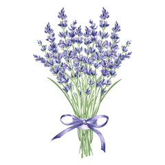 Obraz premium Lavender flowers bunch purple with bow, watercolor illustration. Isolated hand drawn Provence floral bouquet. Botanical drawing template for card, printing packaging or tableware, textile, embroidery