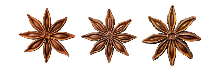 Star anise isolated on transparent background cutout