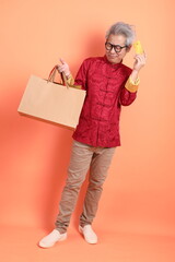 Fototapeta premium Happy Chinese new year