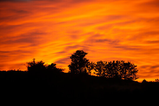The trees on the mountain in the background are the orange evening sky.