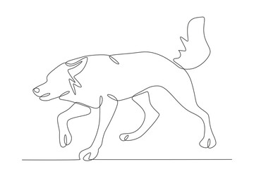 A male wolf chasing prey