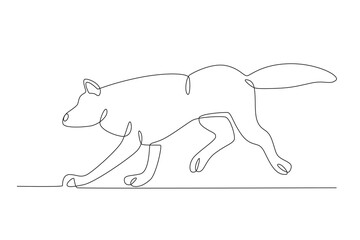 A wolf is clawing at the ground