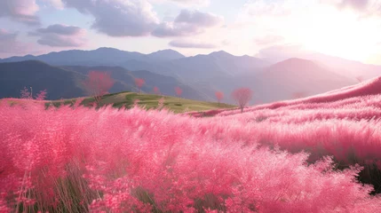 Fototapeten Beautiful pink Hairawn muhly landscape, Republic of Korea. © Santy Hong