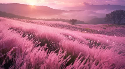 Gordijnen Beautiful pink Hairawn muhly landscape, Republic of Korea. © Santy Hong