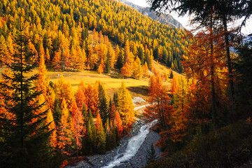 swiss national park, Parc Naziunal Svizzer, in autumn - engading, switzerland - rolling alps with orange green and red colours - river running straight through the swiss national park