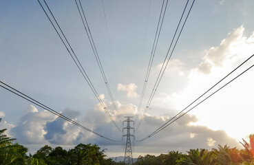 High voltage. high voltage pole and the view of the evening, sunrise, natural. High-angle, top-angle photography. Photography for industrial use, electrical power systems.