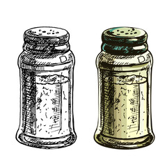 Salt shaker. Vector color vintage hatching illustration isolated on white