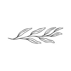 Single Leaf Line Art Illustration Isolated in White. Floral decoration branch leaf plant line. Modern single line art, aesthetic contour. Perfect for home decor such as posters, wall art, tote bag etc