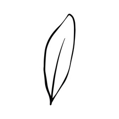 Single Leaf Line Art Illustration Isolated in White. Floral decoration branch leaf plant line. Modern single line art, aesthetic contour. Perfect for home decor such as posters, wall art, tote bag etc