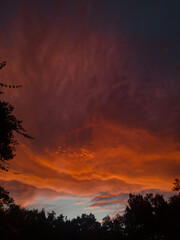 atardecer parque