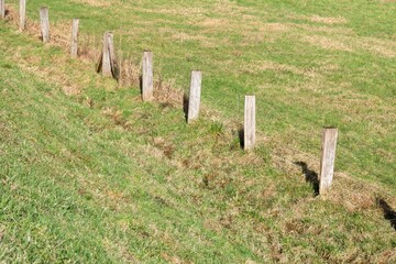 pasture fence in the middle of the meadow