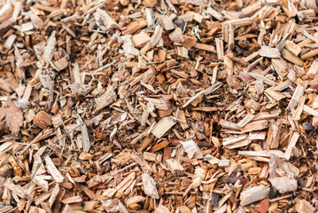 The texture of cut pieces of wood in the garden.