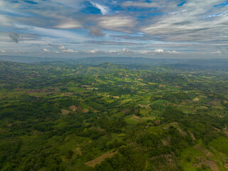 Lush vegetation with rainforest. Blue sky and clouds. Mindanao, Philippines.