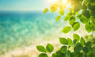 Summer sunlight bokeh