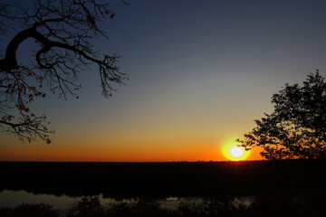 Afrikanischer Busch - Krügerpark - Pioneer Dam / African Bush - Kruger Park - Pioneer Dam /