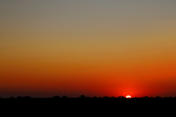 Sonnenuntergang - Krüger Park - Südafrika / Sundown - Kruger Park - South Africa /