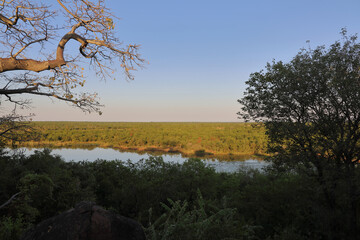 Afrikanischer Busch - Krügerpark - Pioneer Dam / African Bush - Kruger Park - Pioneer Dam /