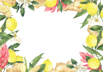 Watercolor illustration of spice ginger, half, leaves and lemon. Hand-drawn frame. Ginger root for food design. Kitchen herb and spice